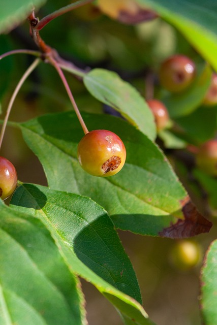 贝恩本场得到37分，并列NBA杯淘汰赛历史第三高分