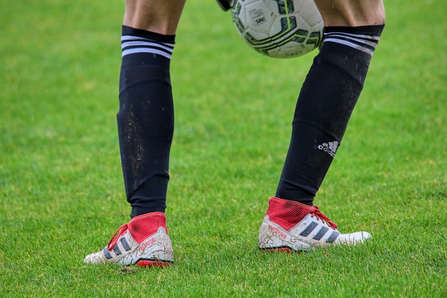 并不是一个 并不是一个