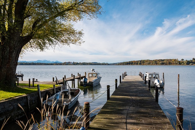 而日本新星 而日本新星