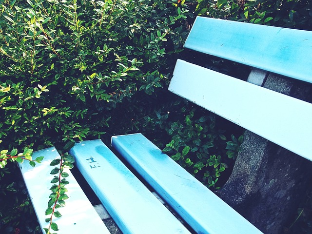 斯未能成功 斯未能成功